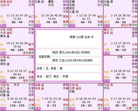 第四章：实际操作步骤—从起名到检验，再到使用后的回访.