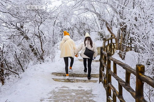 哈尔滨？冻得亲妈都不认识！