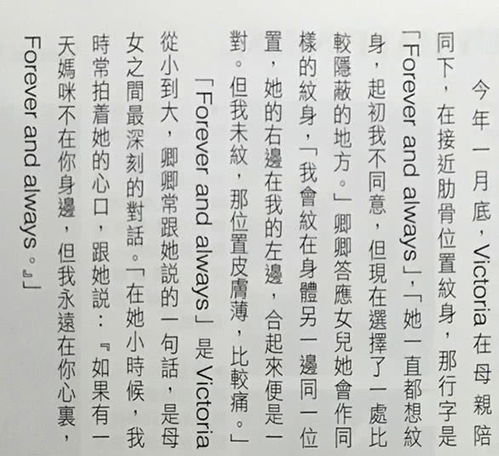 噪音较小插曲：一段随笔式描写