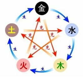 改名提议：注入活力与平衡