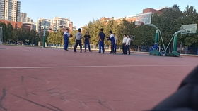 随机插曲：我遇见了一只乌鸦？（真实的吗？）