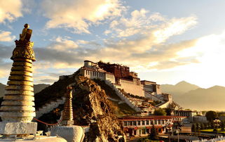 终极生存指南：比星座配对还复杂的抢票技巧