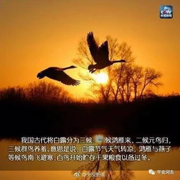 一、 祭劳神