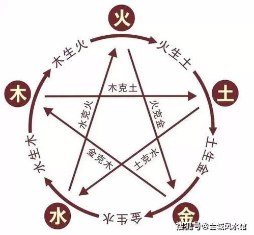 木的特性