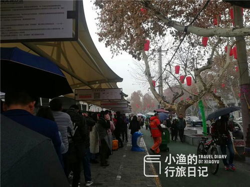 景点？人挤人挤死人！