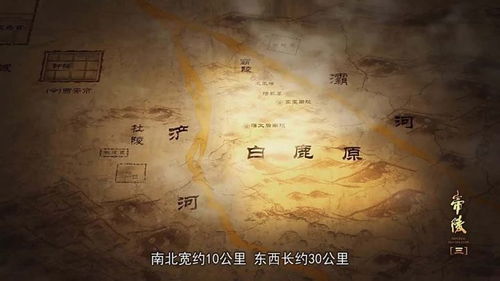 一、神秘的起点：金阳秘境的诱惑