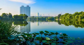 二、大明湖：诗情画意里的湖光山色