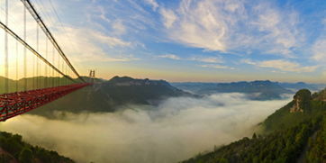 血泪教训！学生和老人千万别上当！