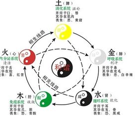 九阴命格具体包含哪九阴？这个神秘命格究竟有何特殊之处？