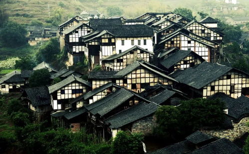 第一天：江风+桂圆林+细小酒馆， 别把古城当成唯一选项
