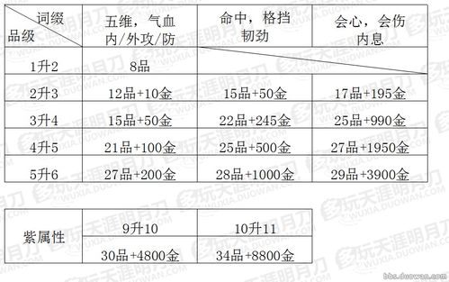 1. 干支解析与五行乱炖