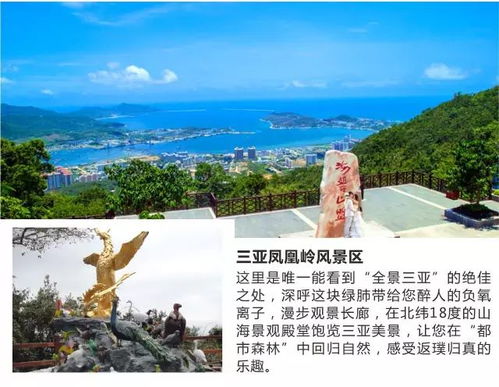 那些年，我们一起上的当