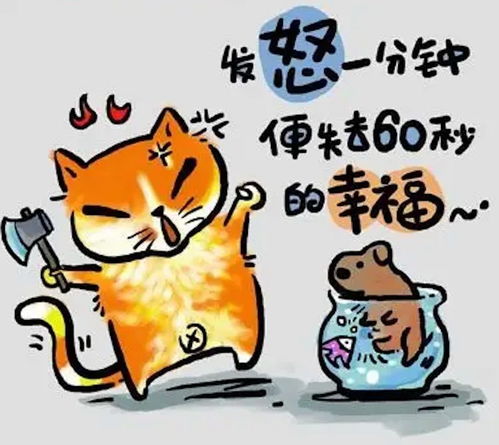 钱包比脸还干净就别凑热闹了