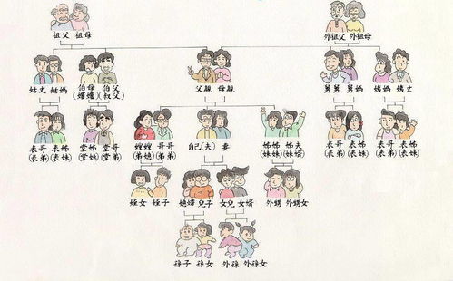 这里插播一个关于生肖的较小知识