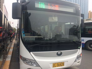 公交车大集合：眼花缭乱的路线