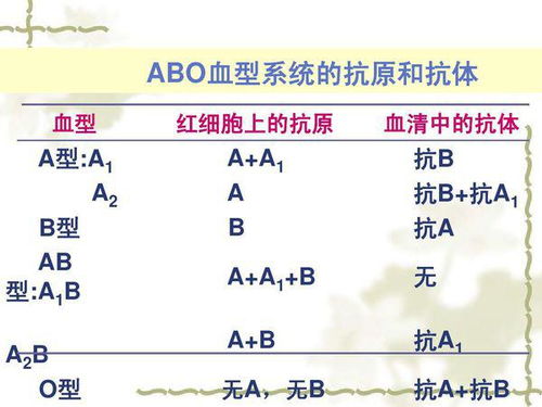 独家爆料！B型血名人的健康秘辛