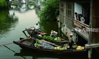 交通：从温州到乌镇，那真是八仙过海