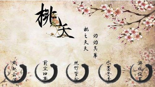 青思：青春梦想的浪漫寄托