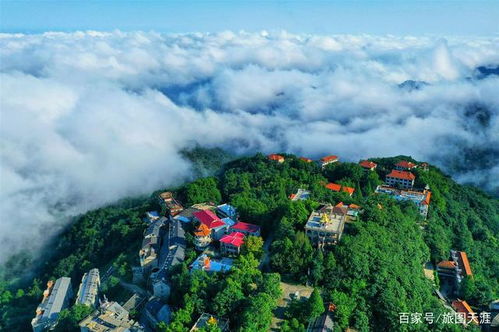 龟山公园的惊天骗局！2026年黄历警告：这些日子千万别去
