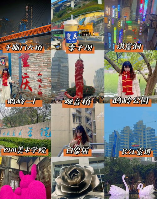 癫狂行程：每天2万步起，腿断概不负责