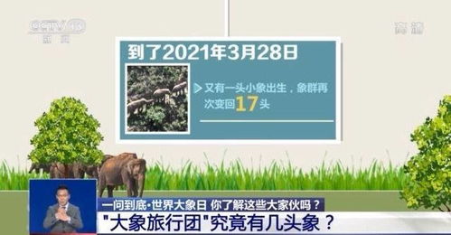 四、注沉服务，树立品牌形象