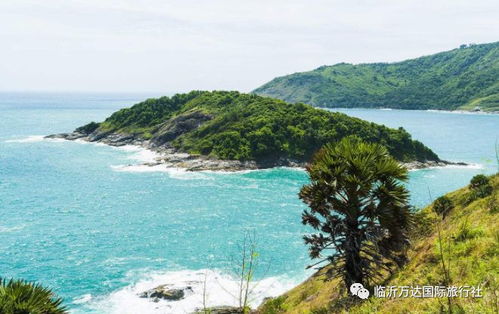 普吉岛：阳光下的陷阱
