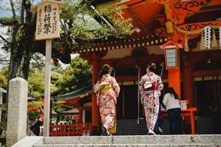 啊啊啊！伏见稻荷神社门票居然这么贵？！吐血整理省钱秘籍