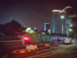 3. 记录美好瞬间