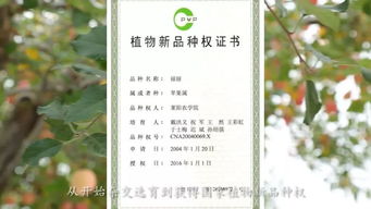 一、  节气特征与择吉关键性