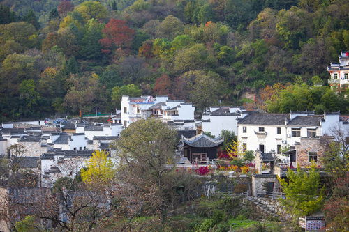 一、屏山村？是个人间仙境还是个大坑嗯？！