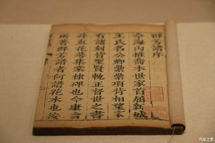 而：胡子大叔的奇妙冒险