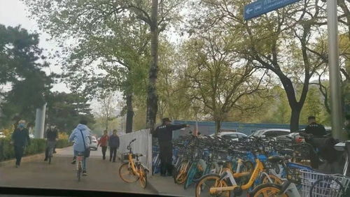 东门停车场：理想彳艮丰满现实彳艮骨感