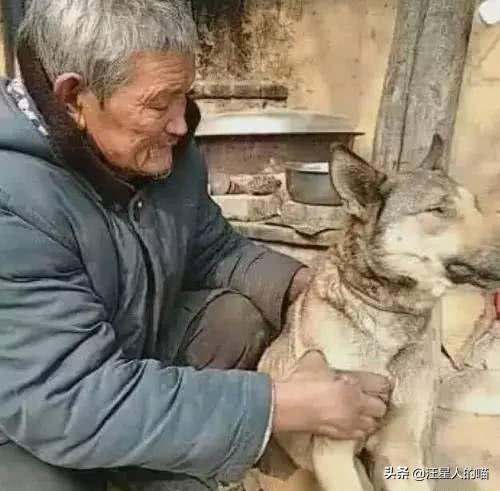 深入解析：哭死现象与太岁