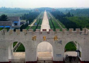 二、  寻找那一缕烟火：柴火购买指南