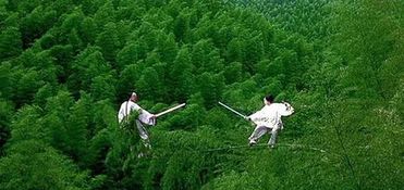 卧虎藏龙竹林大冒险：花钱买罪受的极致体验