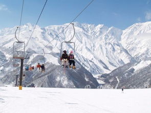 一、  雪世界，一场未知的冒险