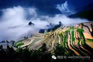 下午：板约梯田， 感受农耕文化底蕴