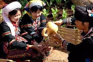 佤族风情：神秘文化，民族瑰宝，探寻佤族魅力