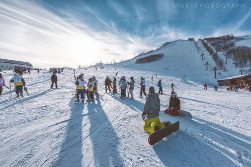 滑雪胜地：为哪些富有良野和二世古这么出圈？
