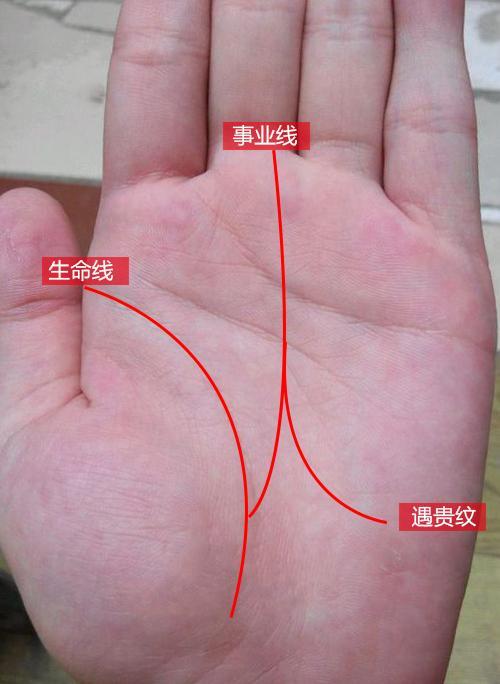 m字纹手相特征如何判断是否预示大富大贵？
