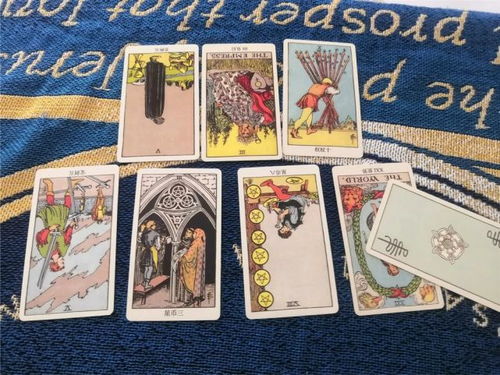 塔罗牌显示：复合要穿荧光绿