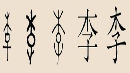 二、 现代化较大气型：贴近时代潮流与个性持续发展