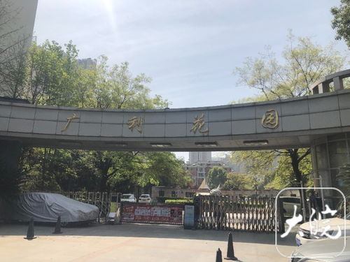 风水与树木的关系