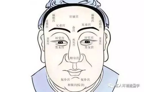 三、脸上零件大拼盘