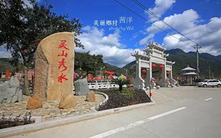 春日时光，杜鹃花开