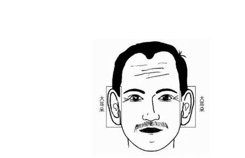 狮子座：阳光灿烂， 却总是被误觉得傲缓慢