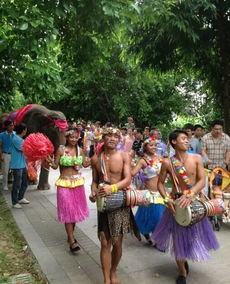 表演太疯狂！杂技演员和海狮抢C位！