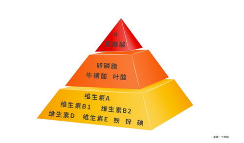 一、先说说基本理念：为什么备孕前需要“全方位”补充？