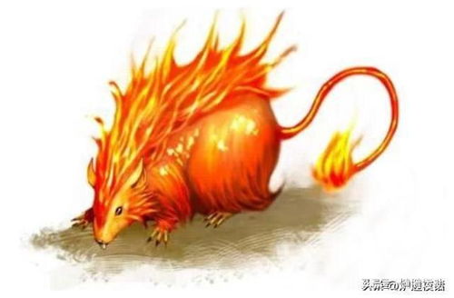 火鼠命五行缺什么