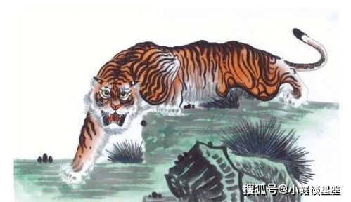 离谱！2026年天气预测：天天都是世界末日？